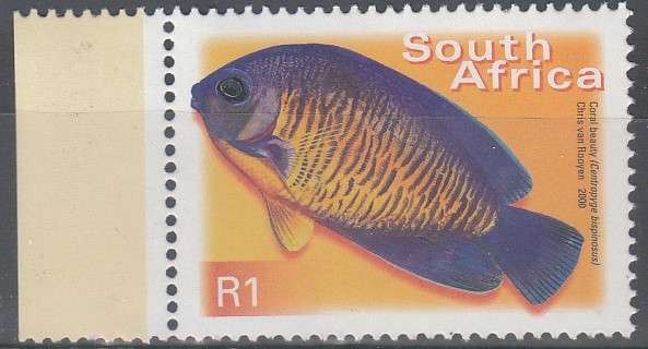 RSA 2000: SEVENTH DEFINITIVE SERIES R1 MNH (SACC 1303)