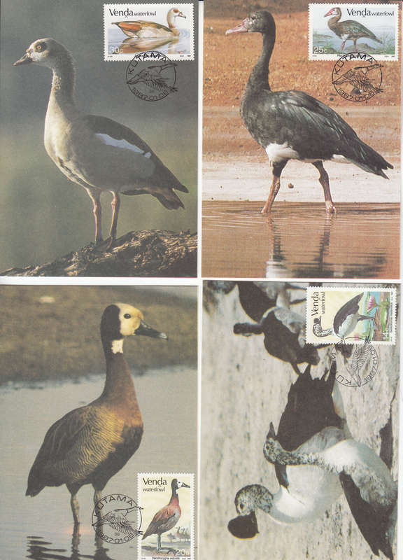VENDA 1987: POSTCARD #42-45 WATERFOWL SET OF 4 CTO (SACC 151-154)