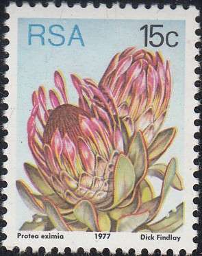 RSA 1979 3rd DEFINITIVE ISSUE 15c MNH (SACC 428)