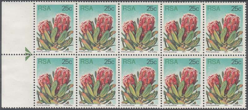RSA 1980 3rd DEFINITIVE ISSUE 25c MNH ARROW BLOCK OF 10 (SACC430a)