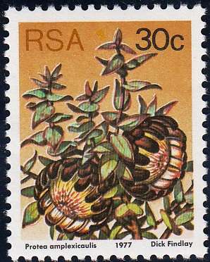 RSA 1980 3rd DEFINITIVE ISSUE 30c MNH (SACC 431a)