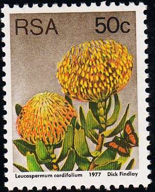 RSA 1977 3rd DEFINITIVE ISSUE 50c MNH (SACC 433)