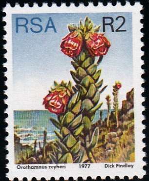 RSA 1977 3rd DEFINITIVE ISSUE R2 MNH (SACC434)