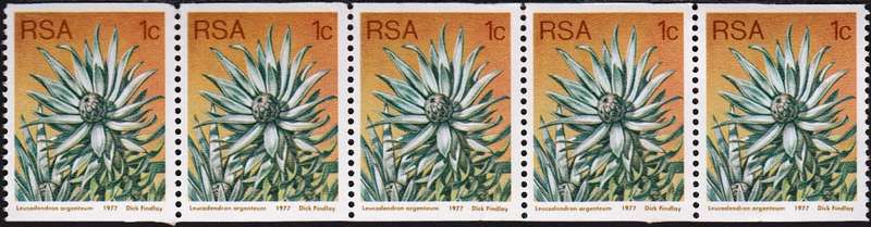 RSA 1977: 3rd DEFINITIVE ISSUE 1c COIL STRIP OF 5 MNH (SACC 435) - NUMBER AT BACK