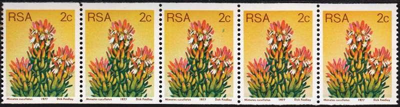 RSA 1977: 3rd DEFINITIVE ISSUE 2c COIL STRIP OF 5 MNH (SACC 436) - NUMBER AT BACK - LIGHTER SHADE