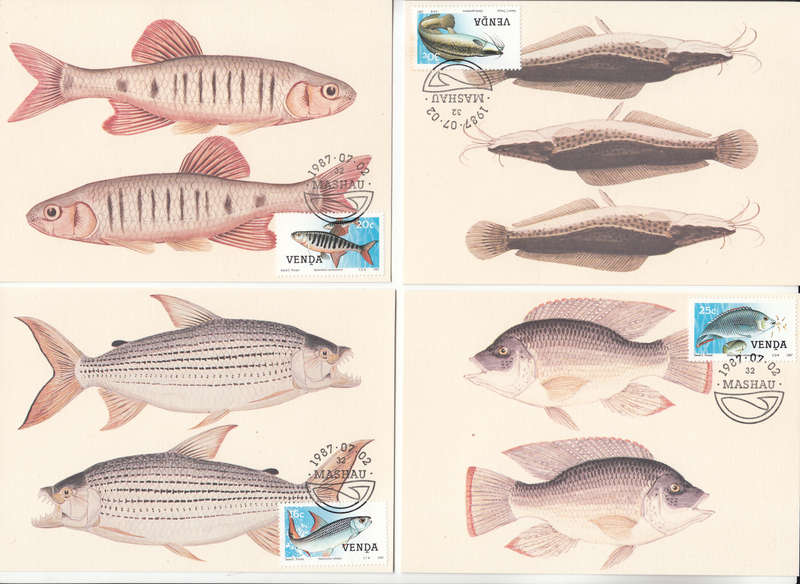 VENDA 1987: POSTCARD #50-53 FRESHWATER FISH SET OF 4 CTO (SACC 160-163)