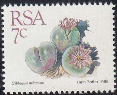 RSA 1991: 5th DEFINITIVE ISSUE SUCCULENTS 7c MNH (SACC 671)