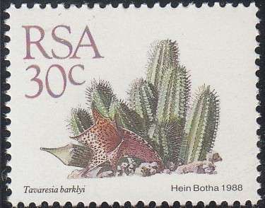 RSA 1988: 5th DEFINITIVE ISSUE SUCCULENTS 30c MNH (SACC 676)