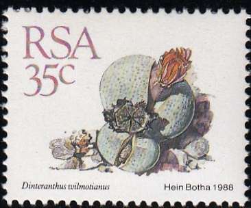 RSA 1988: 5th DEFINITIVE ISSUE SUCCULENTS 35c MNH (SACC 677)