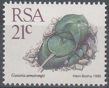 RSA 1990 5th DEFINITIVE ISSUE SUCCULENTS 21c MNH (SACC 721)