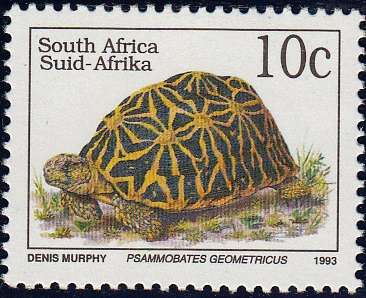 RSA 1993 SIXTH DEFINITIVE SERIES 10c TORTOISE MNH (SACC 828)
