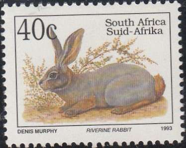 RSA 1997: 6th DEF ISSUE TREATENED FAUNA 40c MNH (SACC 830a) - ENGLISH INSCRIPTION