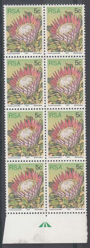RSA 1979 3rd DEFINITIVE ISSUE 5c MNH ARROW BLOCK (SACC422)