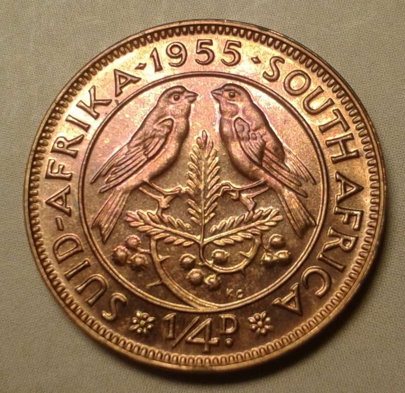 Nice 1955 union 1/4 Penny in proof