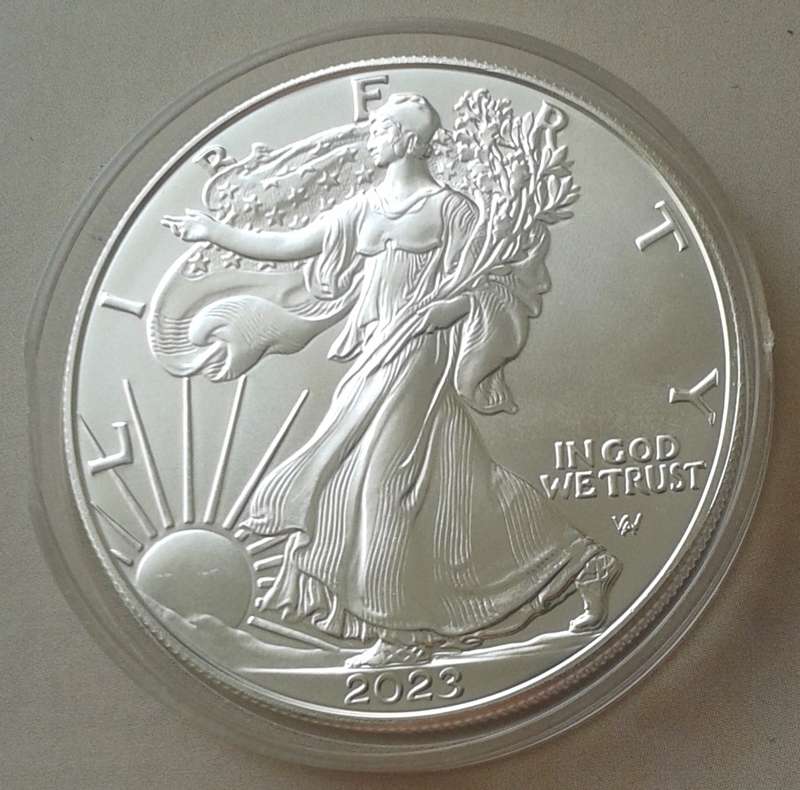 Encapsulated 2023 USA 1oz fine silver Eagle (New design)