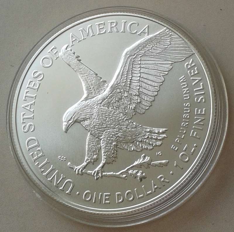 Encapsulated 2023 USA 1oz fine silver Eagle (New design)