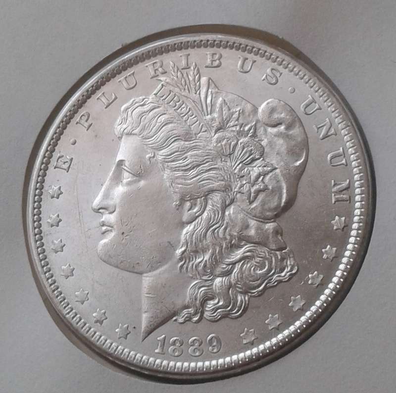 USA Morgan dollar centenary FDC incl.1889 P unc silver Morgan dollar