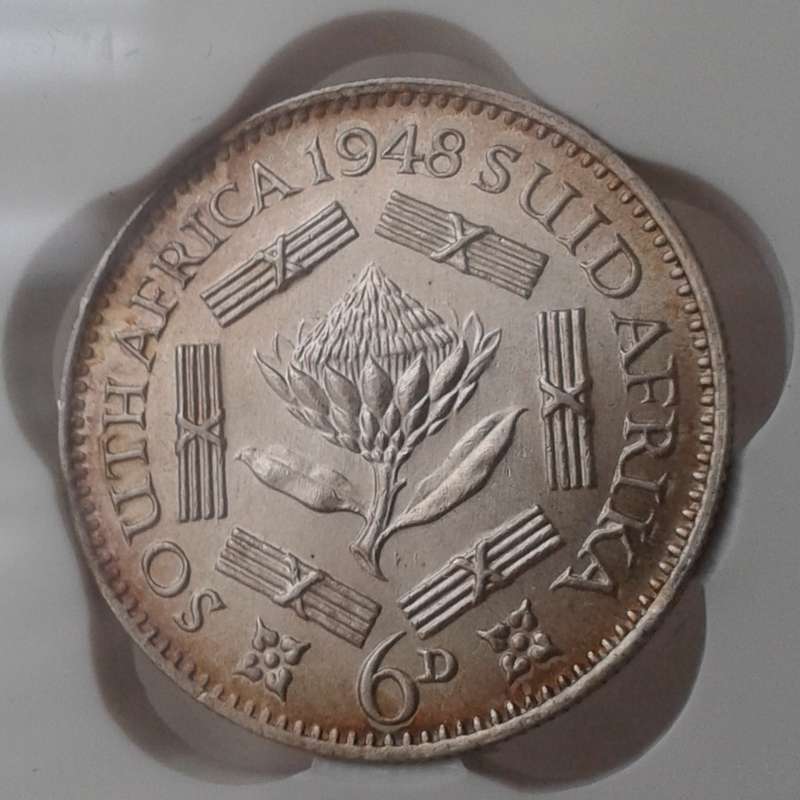 Nice 1948 union silver sixpence SANGS MS63