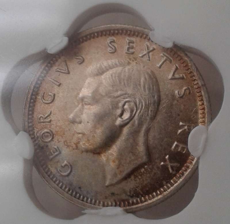 Nice 1948 union silver sixpence SANGS MS63