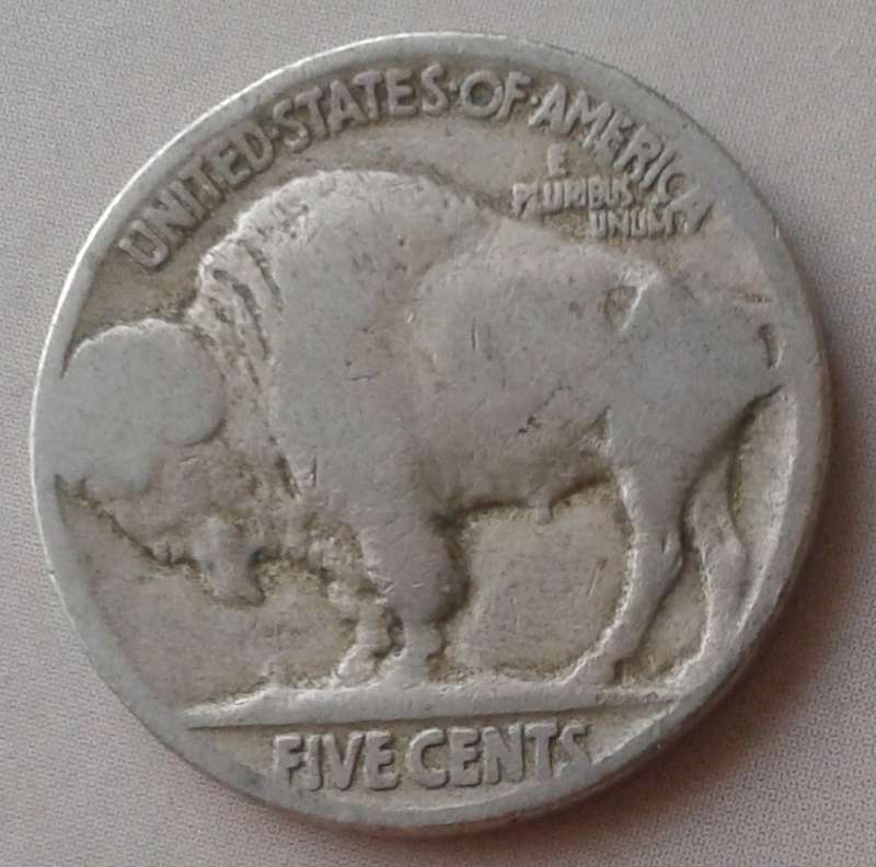 USA Buffalo nickel