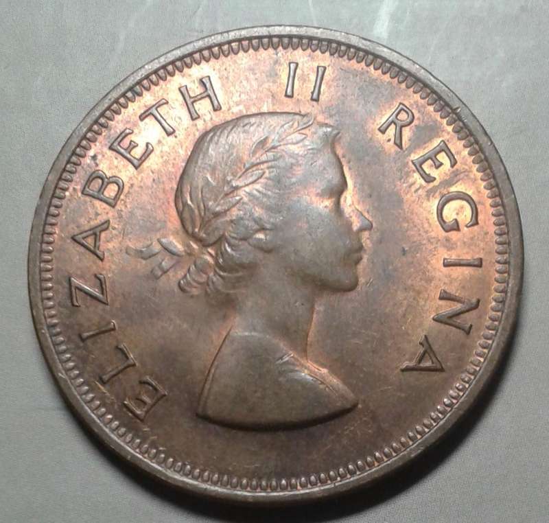 Uncirculated 1954 union penny