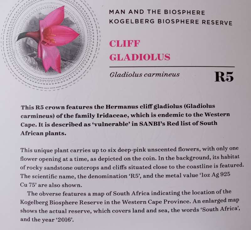 2016 Kogelberg Biosphere Reserve proof 1oz silver coloured R5 (Hermanus Cliff Gladiolus)