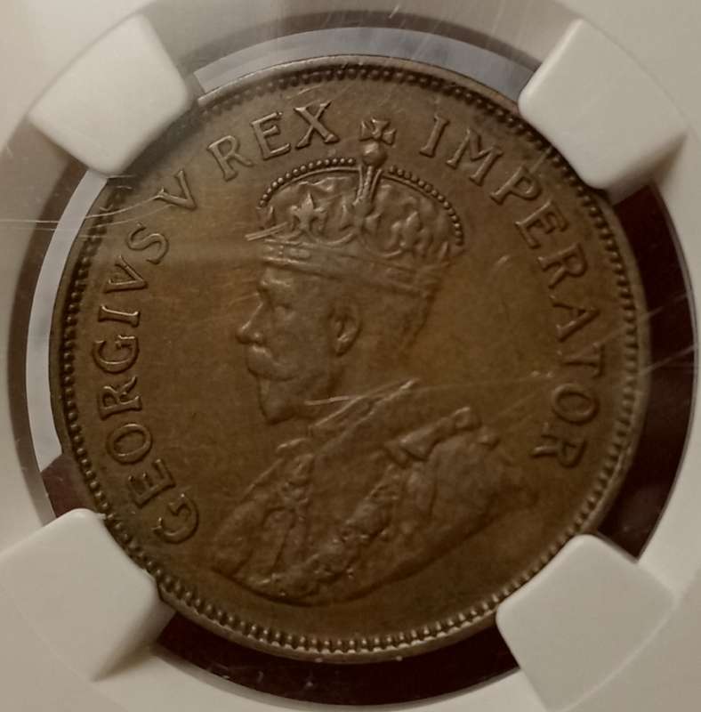Scarcer 1933 Union 1/2 penny NGC XF40 BN