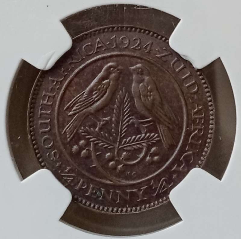 Lower mintage 1924 Union 1/4 Penny NGC MS62 BN