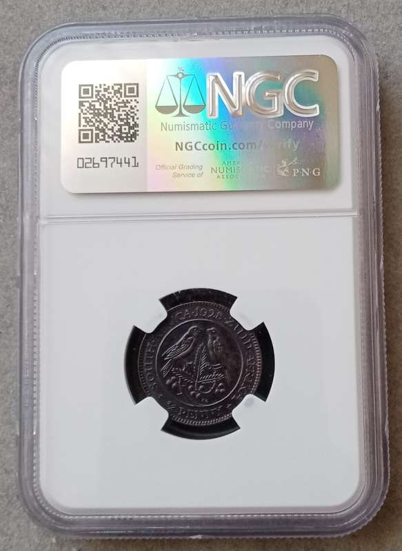 Lower mintage 1928 union 1/4 Penny NGC MS63 BN