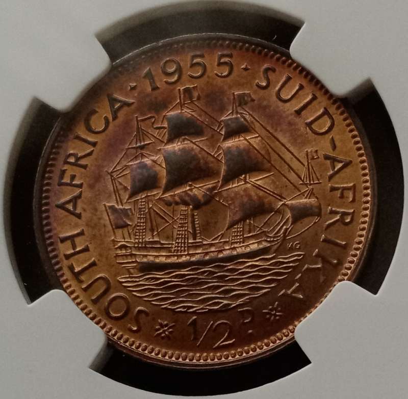 Nice 1955 union 1/2 penny NGC MS64 RB (Only 3 coins higher)