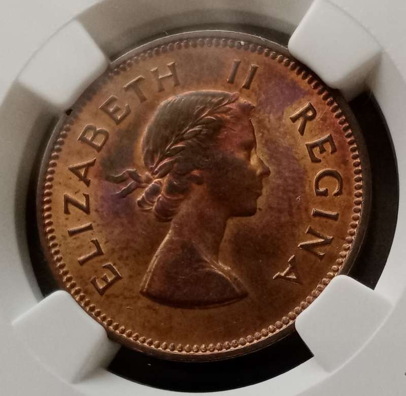 Nice 1955 union 1/2 penny NGC MS64 RB (Only 3 coins higher)