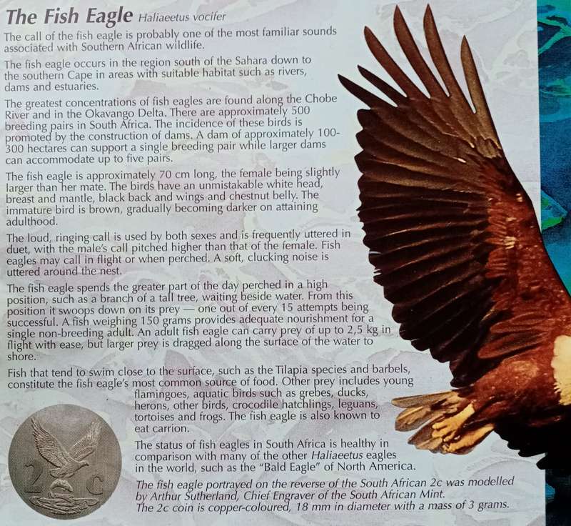1995 Brilliant uncirculated Mint set (Fish Eagle).