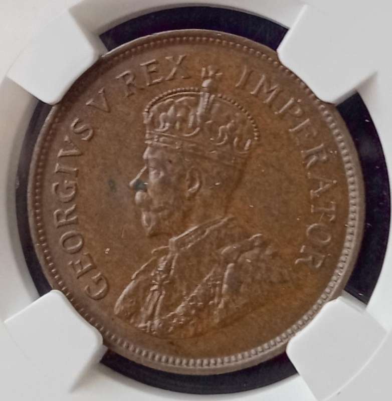 Nice 1925 Union 1/2 Penny NGC AU58 BN (mintage: 69295)