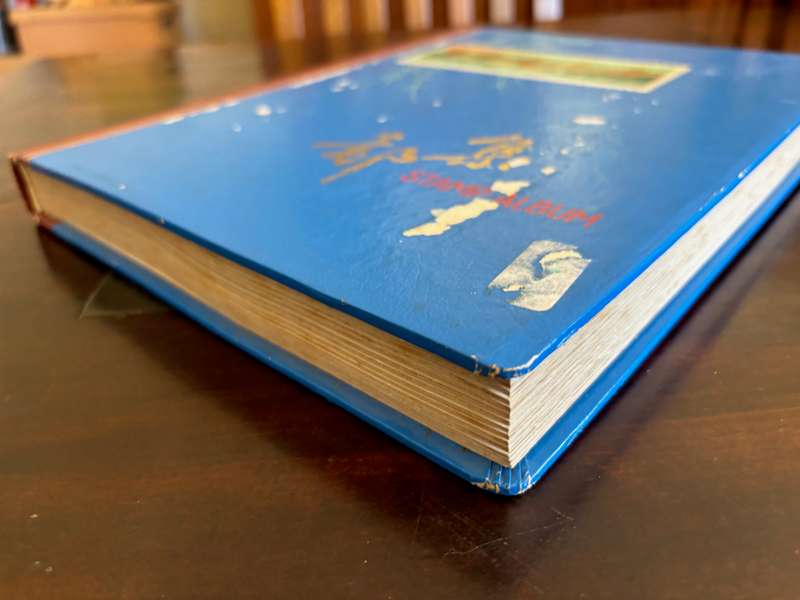BULKLOT SALE -  Very old stockbook with world collections. Lots and lots of stamps.