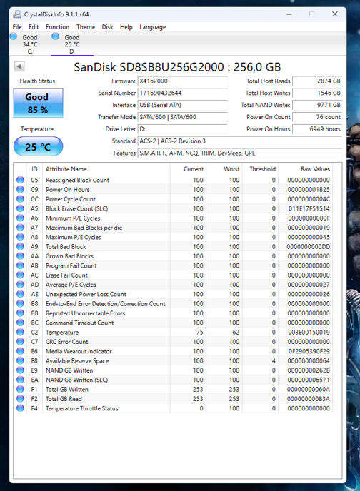 SSD - 256GB SanDisk
