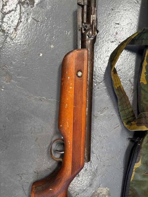 Pellet gun - vintage