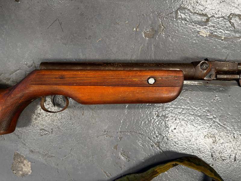 Pellet gun - vintage