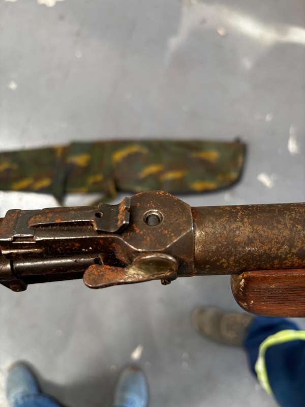 Pellet gun - vintage
