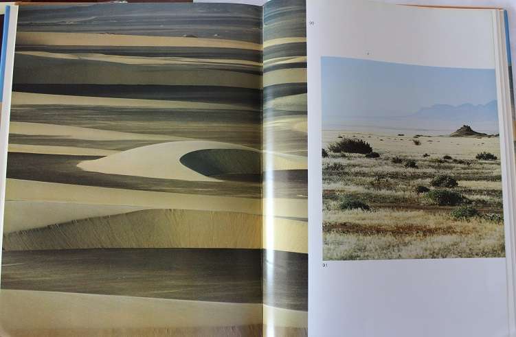 Skeleton Coast by Amy Schoeman