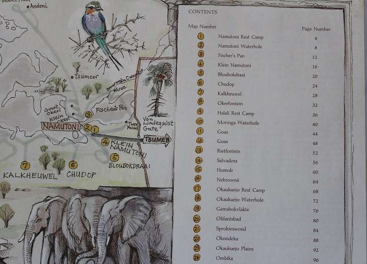 Etosha Experience by Anna Louise and Christine Marais