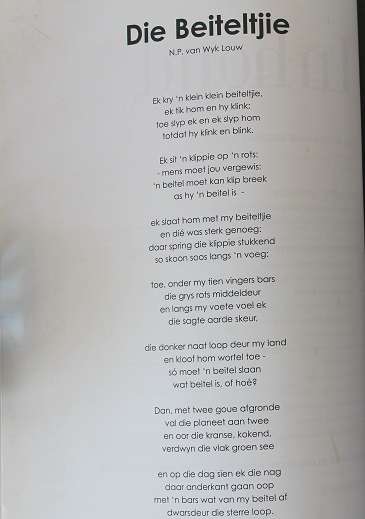 Taalpioniers deur Danie Langer-Dawie du Plessis
