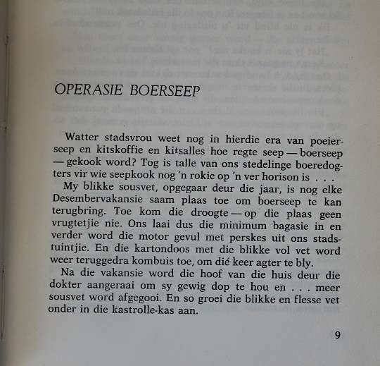 Hout op die vuur deur Aletta Lübbe. Essays en sketse