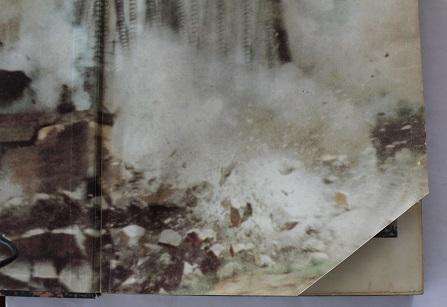 The Elite Rhodesian Special Air Service by Barbara Cole. Signed !