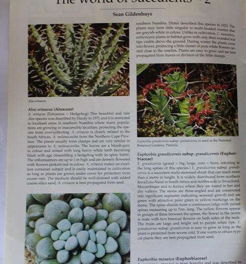 Aloe: volume 43 no 2 & 3 of 2006. Published by the Succulent Society of South Africa
