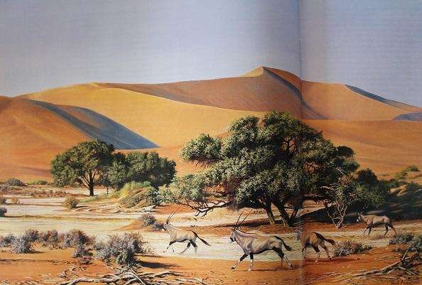 Desert Adventure by Paul Augustinus. In search of wilderness in Namibia and Botswana.