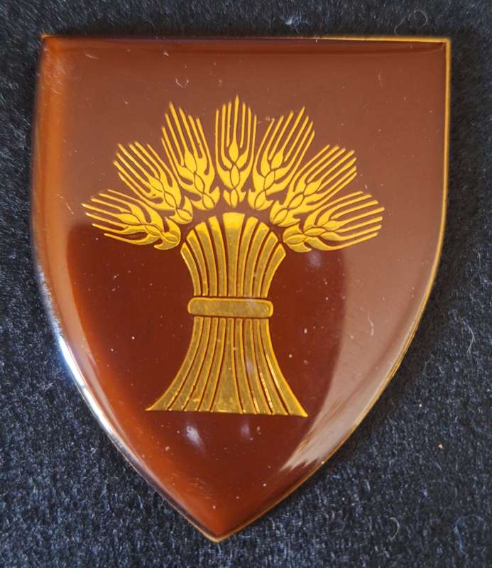SADF - BETLEHEM COMMANDO METAL SHOULDER FLASH  - PINS INTACT