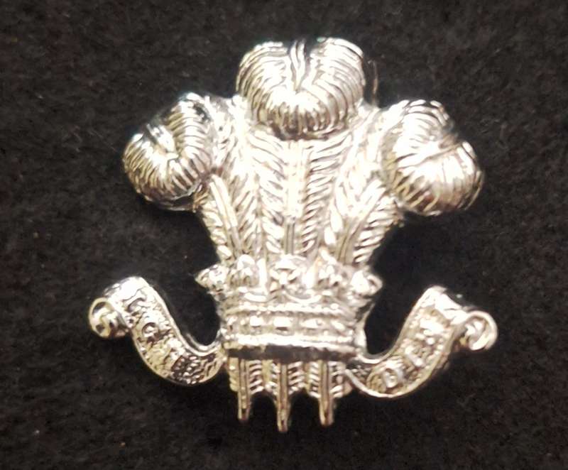 BRITAIN - UNKNOWN MILITARY BADGE - LUGS INTACT