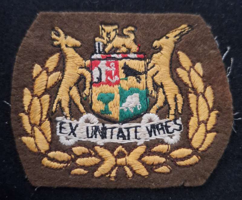 SADF - WO2 (SINGLE) RANK BADGE