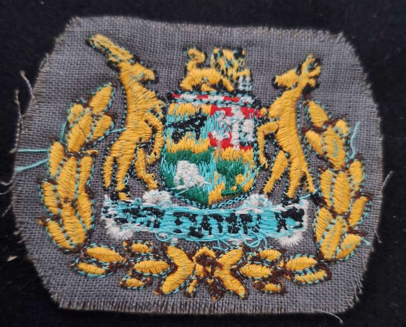 SADF - WO2 (SINGLE) RANK BADGE