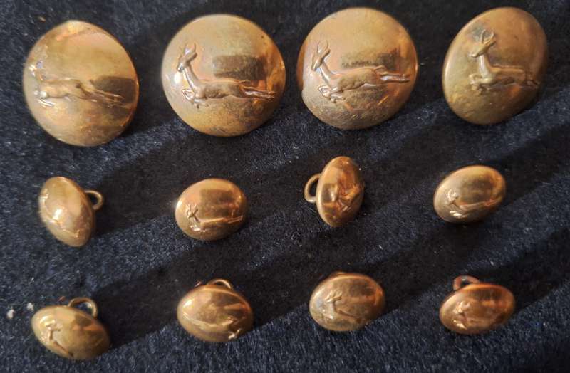 SADF GILDING STEPOUT DRESS BUTTON SET - SHANKS INTACT